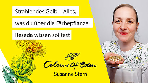 Susanne_Stern_Reseda_Wau Susanne_Stern_Reseda_Wau