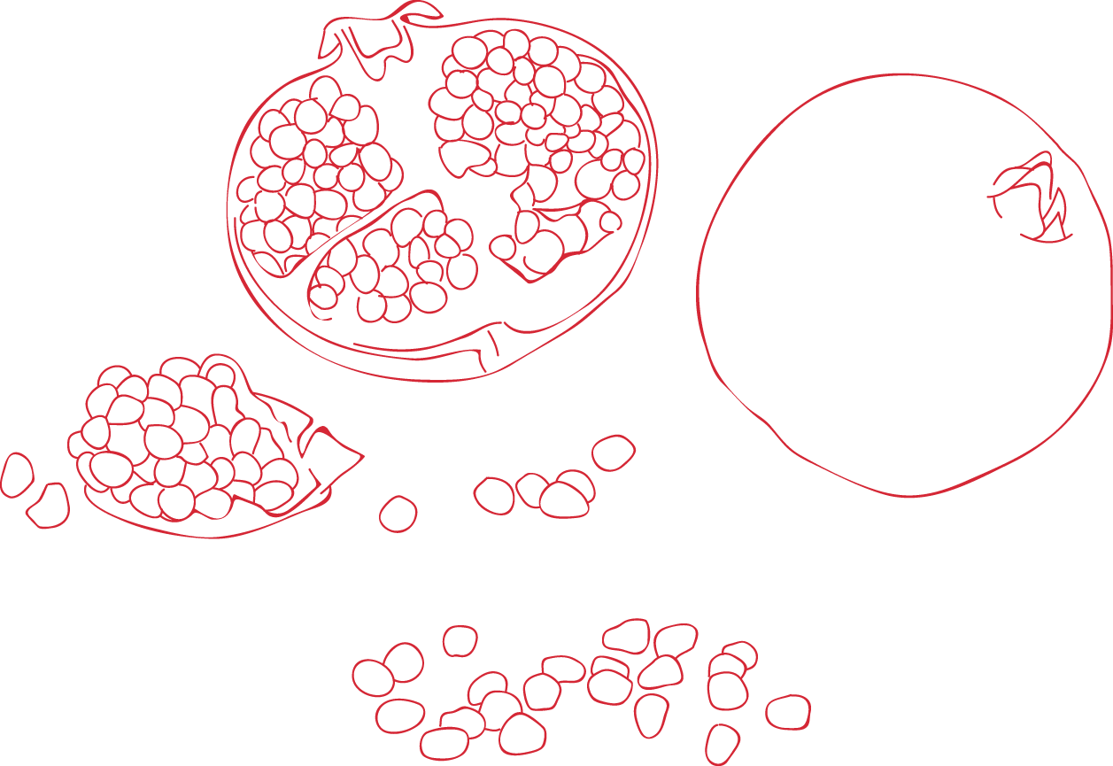 Granatapfel-grafik_pomegranate_sebastian_ristow Granatapfel-grafik_pomegranate_sebastian_ristow