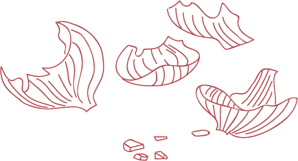 Grafik_Zwiebelschalen_onoinskin_Farbenliebe_Sebastian_Ristow Grafik_Zwiebelschalen_onoinskin_Farbenliebe_Sebastian_Ristow